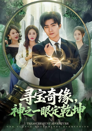 寻宝奇缘，神之一眼定乾坤（80集）短剧在线看