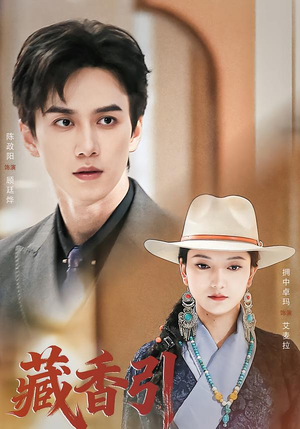 藏香引（63集）百度网盘资源