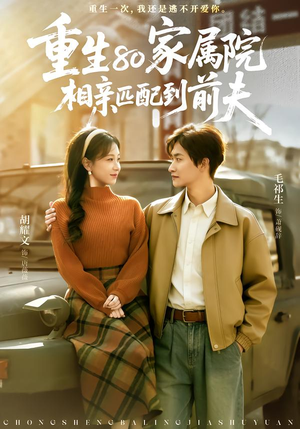 重生80家属院，相亲匹配到前夫（77集）精彩片段