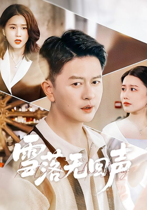 雪落无回声（60集）流畅播放免费看
