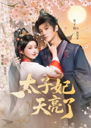 太子妃天亮了(80集) 太子妃天亮了(80集)热门短剧抢先