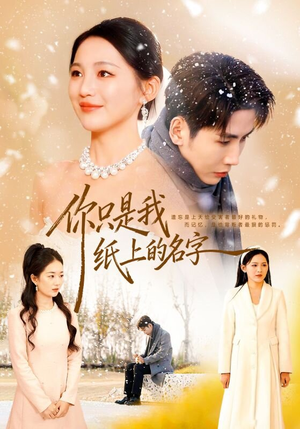 你只是我纸上的名字（68集）短剧热门推荐