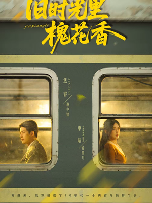 旧时光里槐花香（70集）爆火短剧推荐