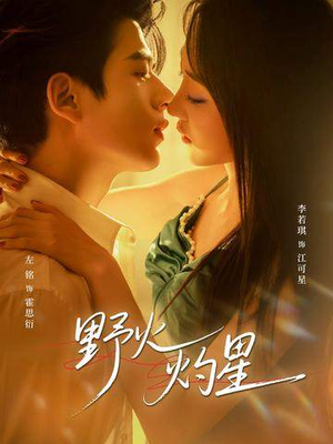 野火灼星（56集）短剧上头又好看