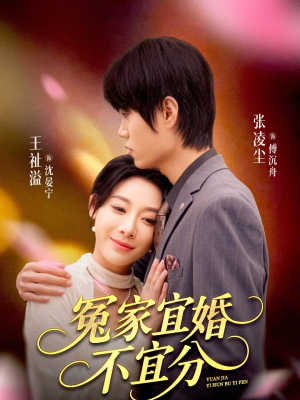 冤家宜婚不宜分（80集）古装短剧推荐