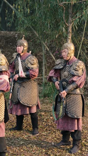 我一个质子怎么就权倾朝野了（65集）古代短剧推荐