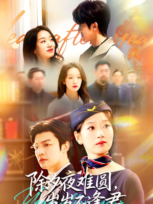 除夕夜难圆，岁岁不逢君（79集）热门爆款短剧