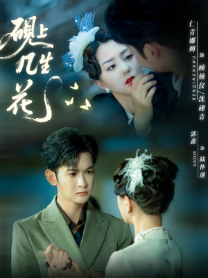 砚上几生花（62集）热门短剧排行榜