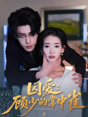 囚爱：顾少的掌中雀（70集）追短剧看全集