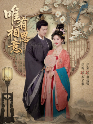 唯有相思意（100集）精彩短剧免费看