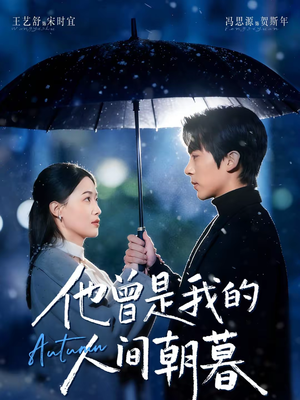 他曾是我的人间朝暮（51集）一共多少集