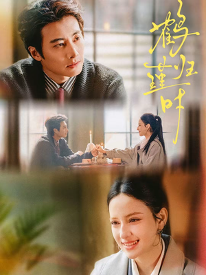 鹤归瑾时（81集）剧好看短剧推荐