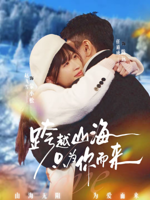 跨越山海只为你而来（30集）全集