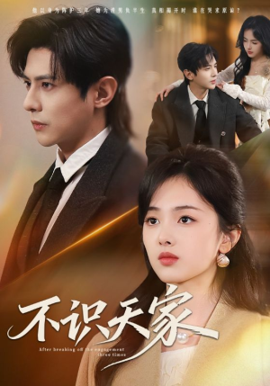 不识天家（69集）热门了短剧