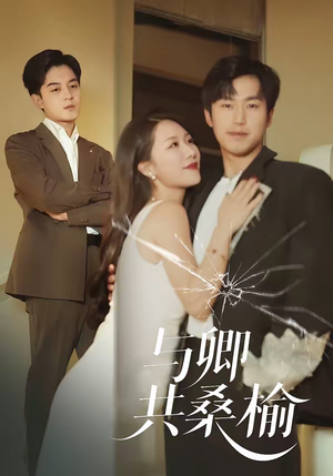 与卿共桑榆（63集）热播短剧排行榜