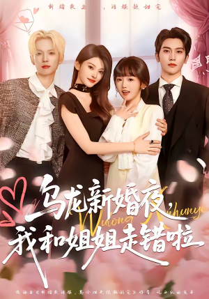 乌龙新婚夜，我和姐姐走错啦（59集）短剧抢先看