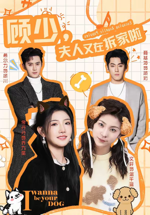 顾少，夫人又在拆家啦（78集）最火爆的短剧