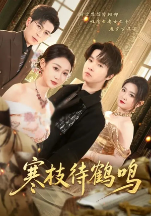 寒枝待鹤鸣（70集）在线观看全集