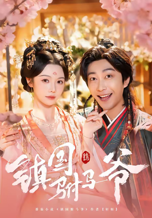 镇国驸马爷（92集）80到100集