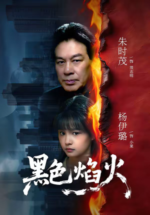 黑色焰火（41集）一口气看完