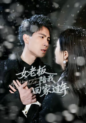 女老板陪我回家过年(40集) 女老板陪我回家过年(40集)爆款短剧一起追