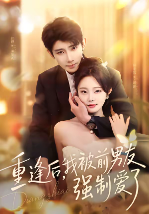 重逢后，我被前男友强制爱了（80集）全集下载