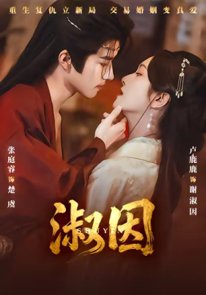 淑因(65集) 淑因(65集)常回家看看短剧