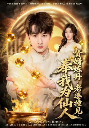 赘婿炼丹，老婆撞见，奉我为仙人（59集）短剧小说在线看