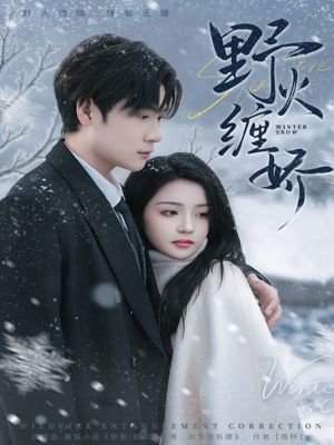 野火缠娇（66集）全集都在这里了