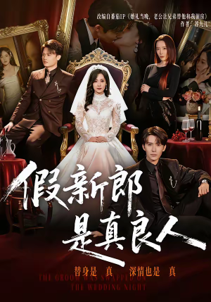 假新郎是真良人（67集）一起看短剧