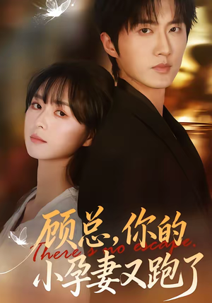 顾总,你的小孕妻又跑了(47集) 顾总,你的小孕妻又跑了(47集)古装短剧推荐