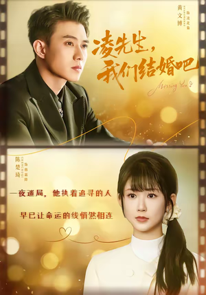 凌先生，我们结婚吧（68集）夸克在线观看