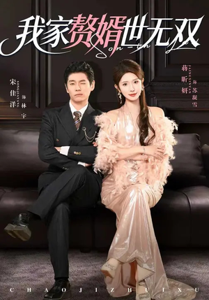 我家赘婿世无双（73集）短剧抢先看全集