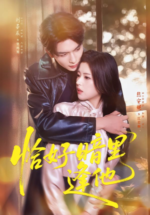 恰好暗里逢他(66集) 恰好暗里逢他(66集)火爆短剧推荐