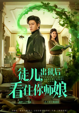 徒儿，出狱后看住你师娘（82集）经典老剧免费看