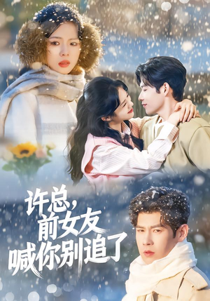 许总，前女友喊你别追了（80集）好看短剧抢先看
