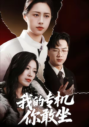 我的专机你敢坐（62集）常回家看看短剧