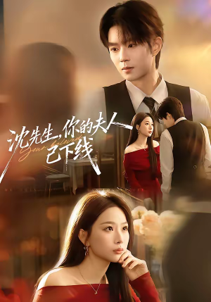 沈先生，你的夫人已下线（51集）80到100集