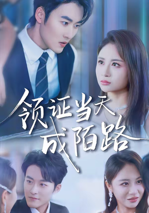 领证当天成陌路（39集）短剧有好货推荐