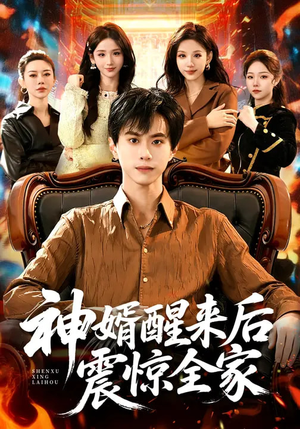 神婿醒来后震惊全家（80集）热播短剧追不停