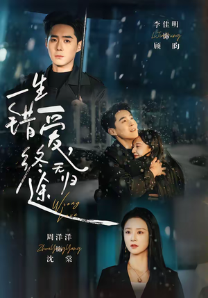 一生错爱，终无归途（74集）精彩短剧下载