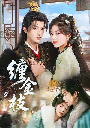 缠金枝（69集）每日分享短剧
