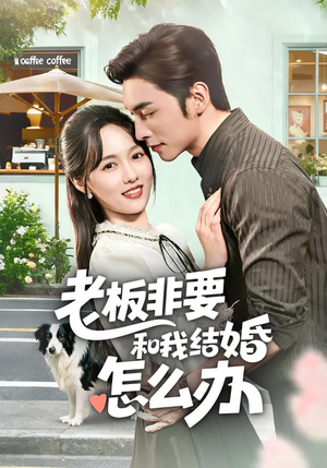 老板非要和我结婚怎么办（50集）百度网盘在线看