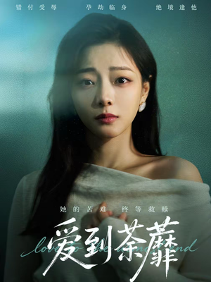 爱到荼蘼（63集）一口气追完全集