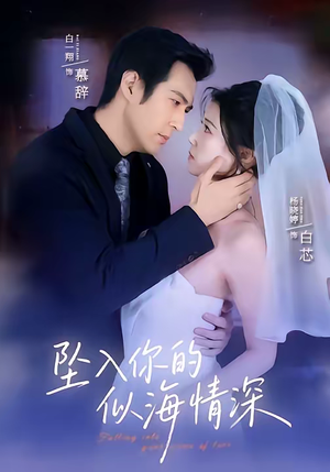 坠入你的似海情深（67集）全集