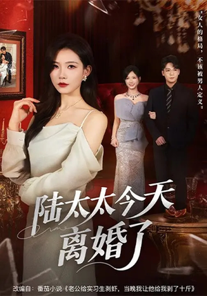 陆太太今天离婚了（59集）短剧追不停