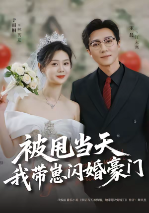 被甩当天我带崽闪婚豪门(70集) 被甩当天我带崽闪婚豪门(70集)女主角是谁