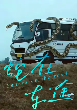 蛇在车途（34集）免费短剧全集看
