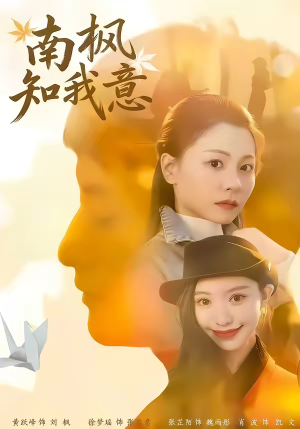 南枫知我意（41集）熬夜追短剧