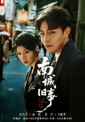 南城旧事（80集）追短剧看全集